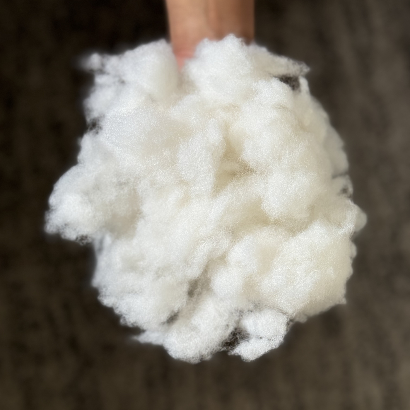 NuVibe Cushion Cotton Filling